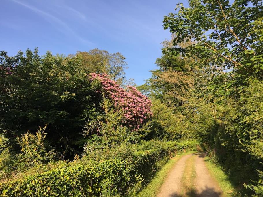 Apartament Tranquil Getaway Near Brecon Beacons Llandovery Zewnętrze zdjęcie